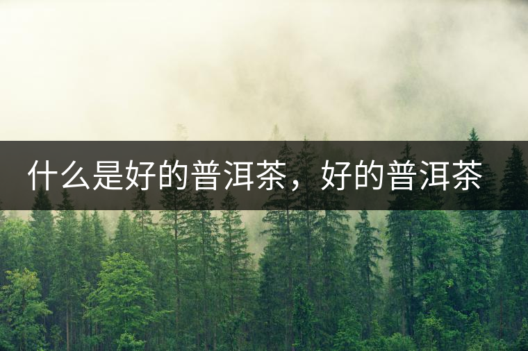什么是好的普洱茶，好的普洱茶必須要有好的工藝！