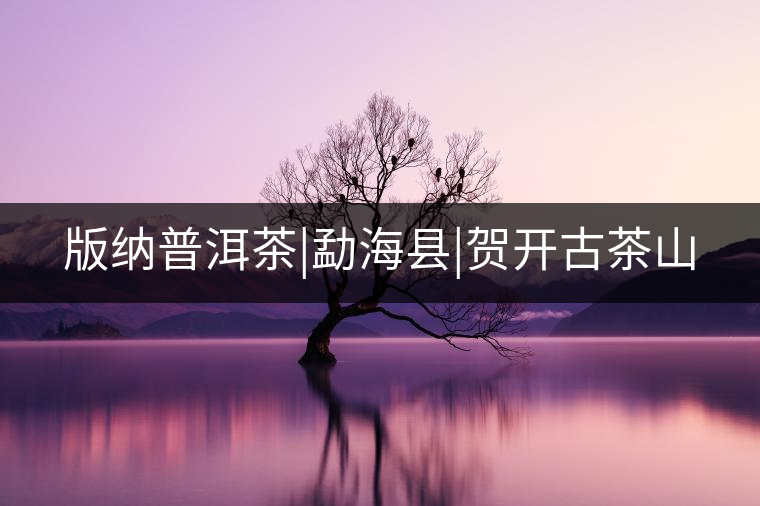 版納普洱茶|勐?？h|賀開古茶山