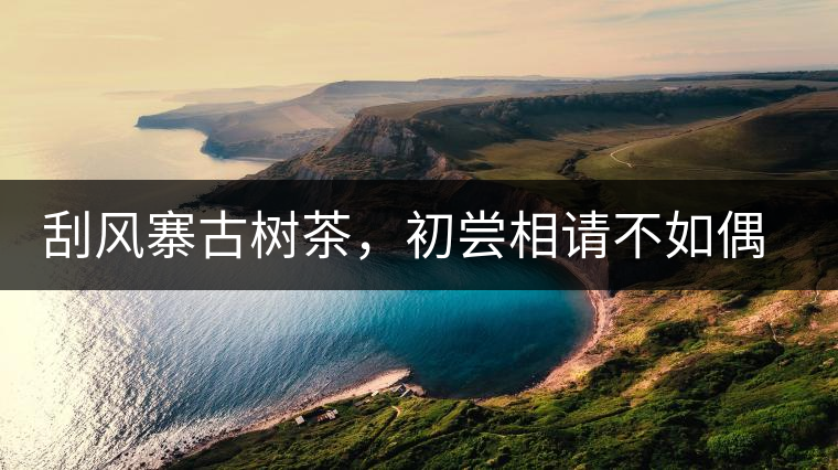 刮風(fēng)寨古樹(shù)茶，初嘗相請(qǐng)不如偶遇