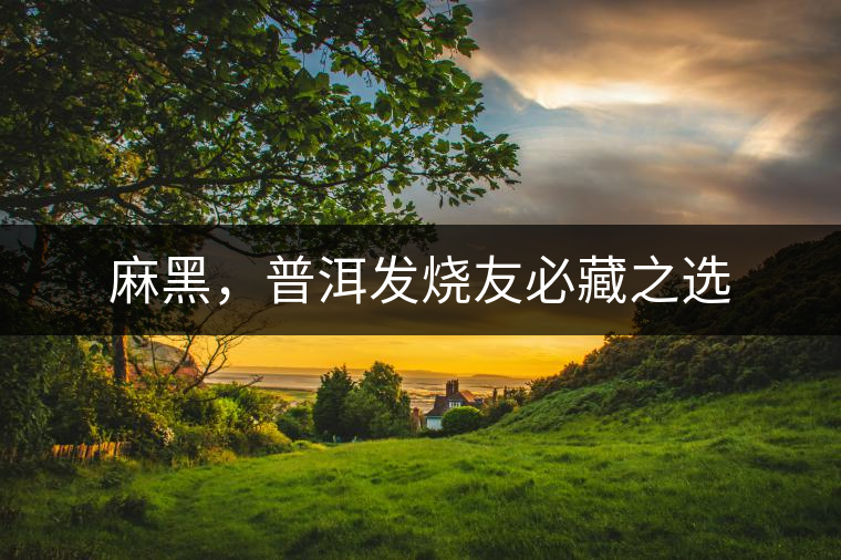 麻黑，普洱發(fā)燒友必藏之選