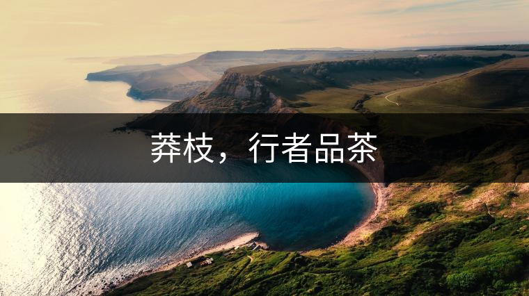 莽枝，行者品茶