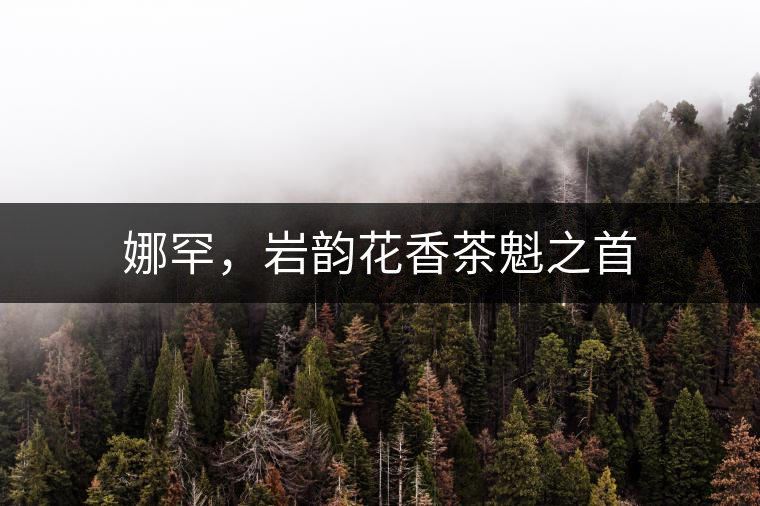 娜罕，巖韻花香茶魁之首