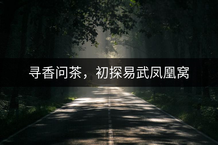 尋香問茶，初探易武鳳凰窩