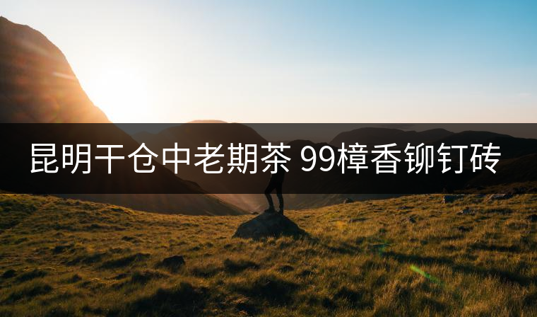 昆明干倉中老期茶 99樟香鉚釘磚 致敬時(shí)光的力量