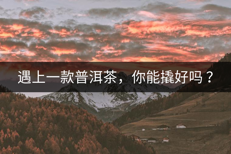 遇上一款普洱茶，你能撬好嗎 ？