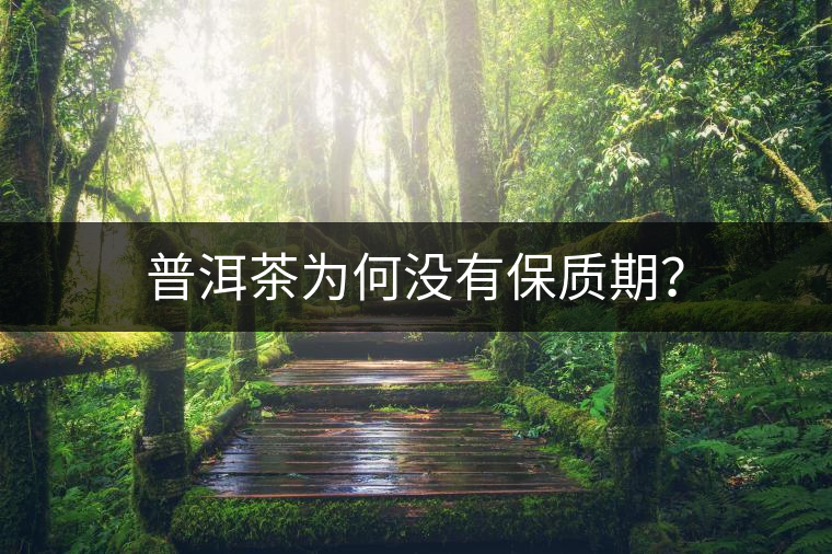 普洱茶為何沒有保質(zhì)期？