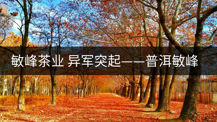 敏峰茶業(yè) 異軍突起——普洱敏峰茶業(yè)有限公司紀(jì)實 敏峰茶業(yè) 異軍突起——普洱敏峰茶業(yè)有限公司紀(jì)實