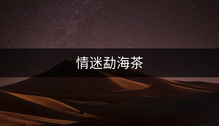 情迷勐海茶 情迷勐海茶