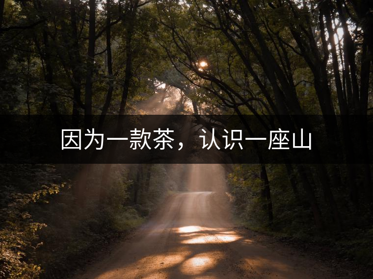 因為一款茶，認(rèn)識一座山
