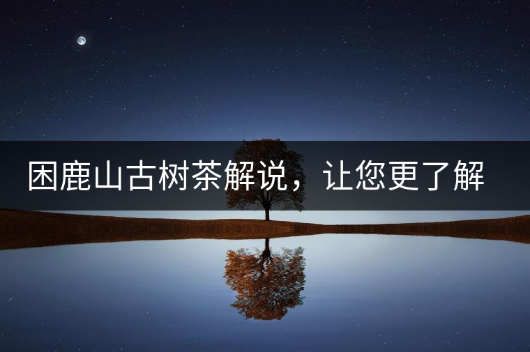 困鹿山古樹茶解說，讓您更了解古樹貢茶