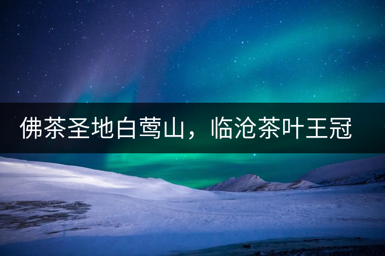 佛茶圣地白鶯山，臨滄茶葉王冠上的明珠