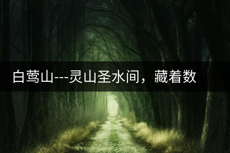 白鶯山---靈山圣水間，藏著數(shù)不盡的佛茶佳話