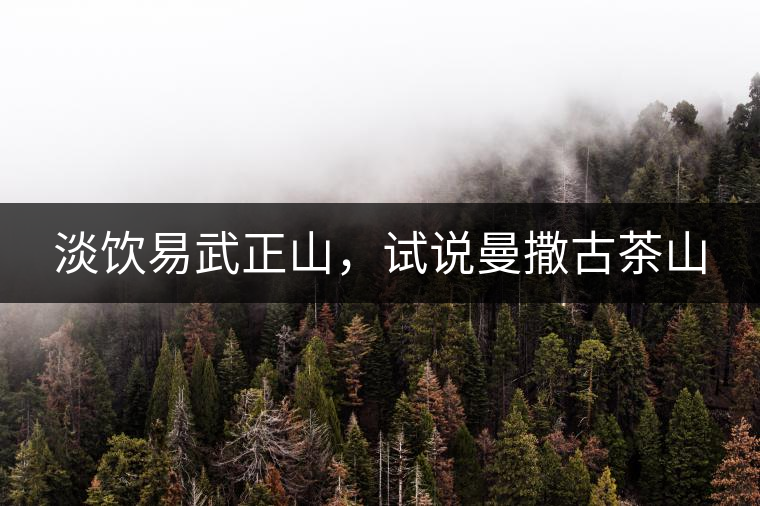 淡飲易武正山，試說(shuō)曼撒古茶山