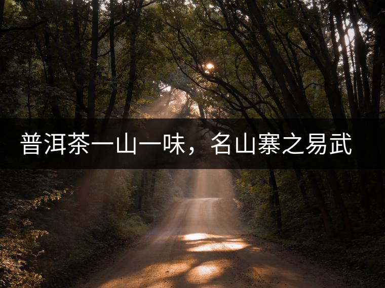 普洱茶一山一味，名山寨之易武彎弓瑤族丁家寨