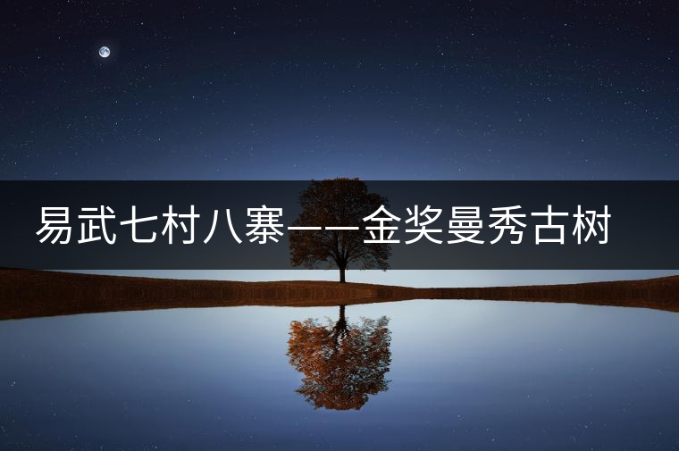 易武七村八寨——金獎曼秀古樹茶