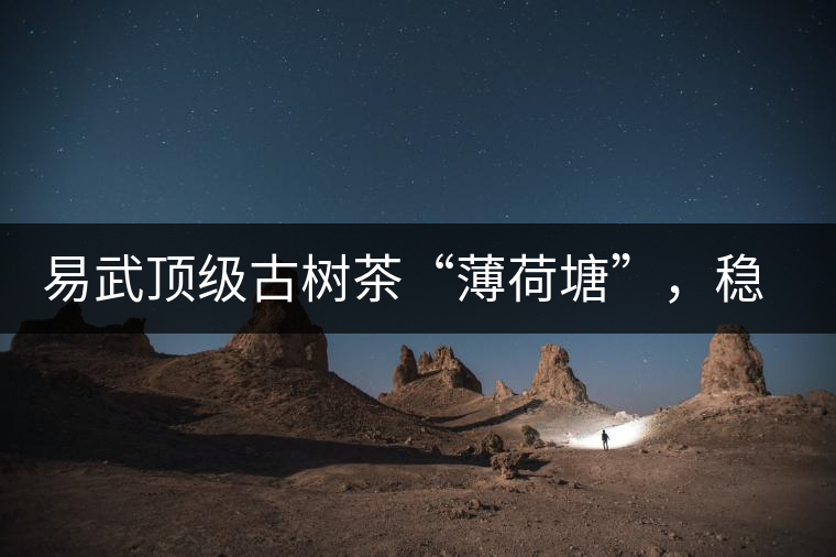 易武頂級古樹茶“薄荷塘”，穩(wěn)坐易武第一把交椅