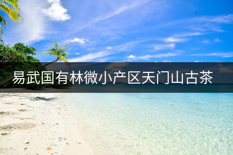 易武國有林微小產區(qū)天門山古茶園 易武國有林微小產區(qū)天門山古茶園