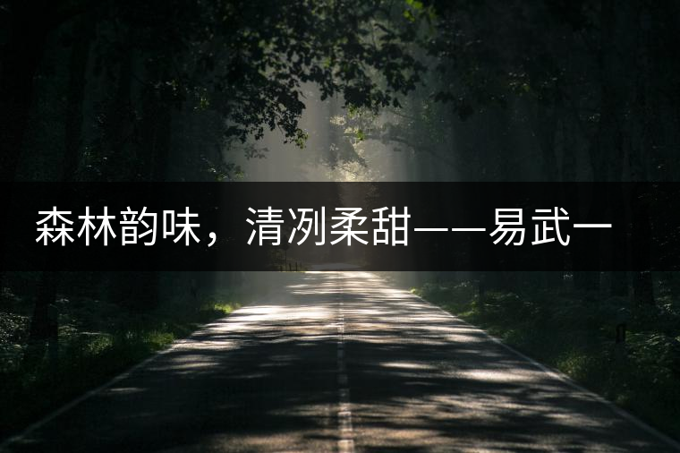 森林韻味，清冽柔甜——易武一扇磨古樹茶特點(diǎn)