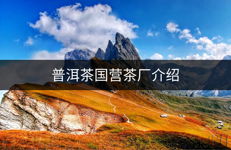 普洱茶國(guó)營(yíng)茶廠介紹