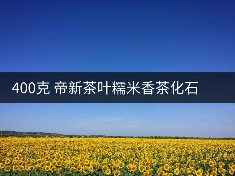 400克 帝新茶葉糯米香茶化石普洱茶熟茶古樹老茶頭碎銀子陶瓷罐裝