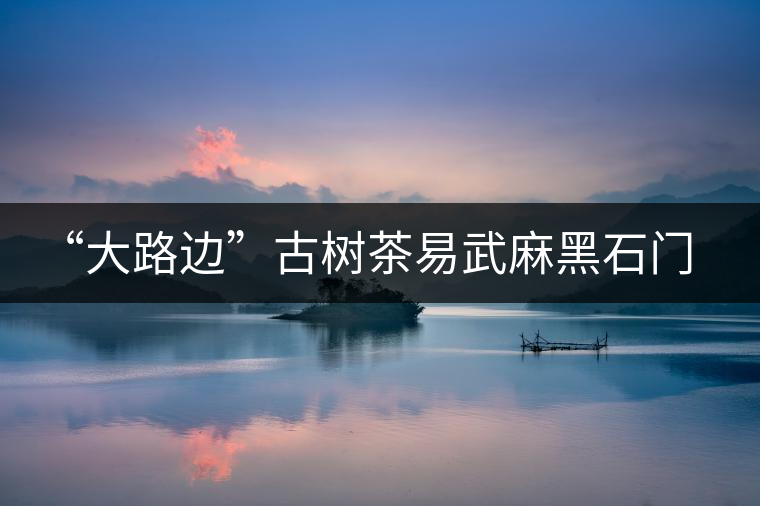 “大路邊”古樹茶易武麻黑石門坎你應該了解的山頭