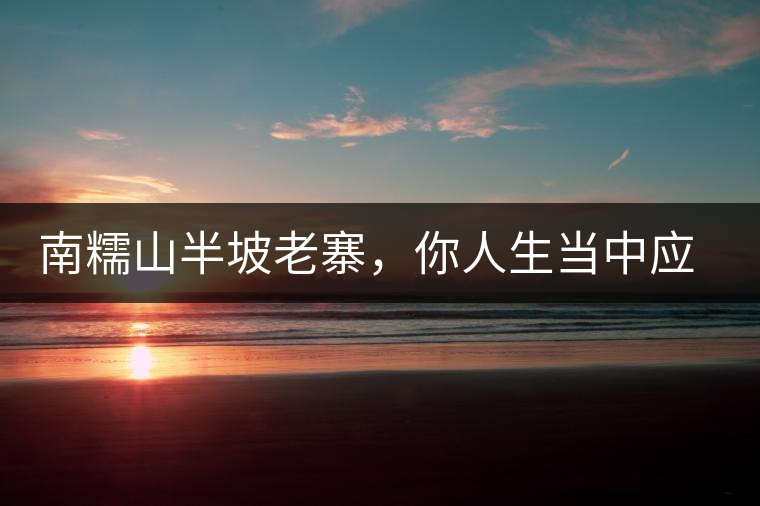 南糯山半坡老寨，你人生當(dāng)中應(yīng)該入手的第一片勐海味古樹純料普洱茶