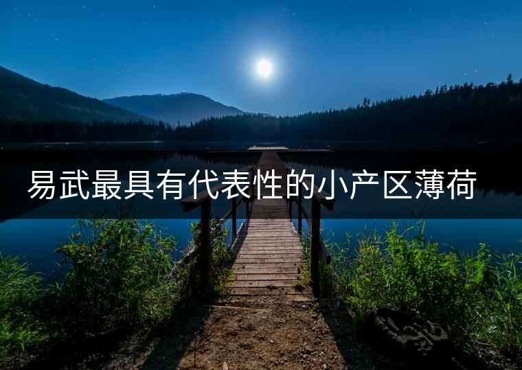 易武最具有代表性的小產(chǎn)區(qū)薄荷塘，一滴都不舍得浪費(fèi)
