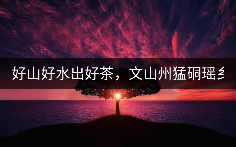 好山好水出好茶，文山州猛硐瑤鄉(xiāng)茶！