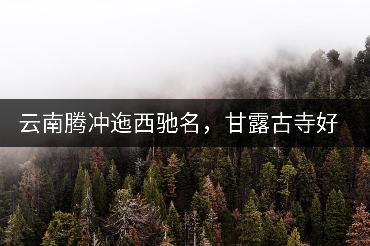 云南騰沖迤西馳名，甘露古寺好茶