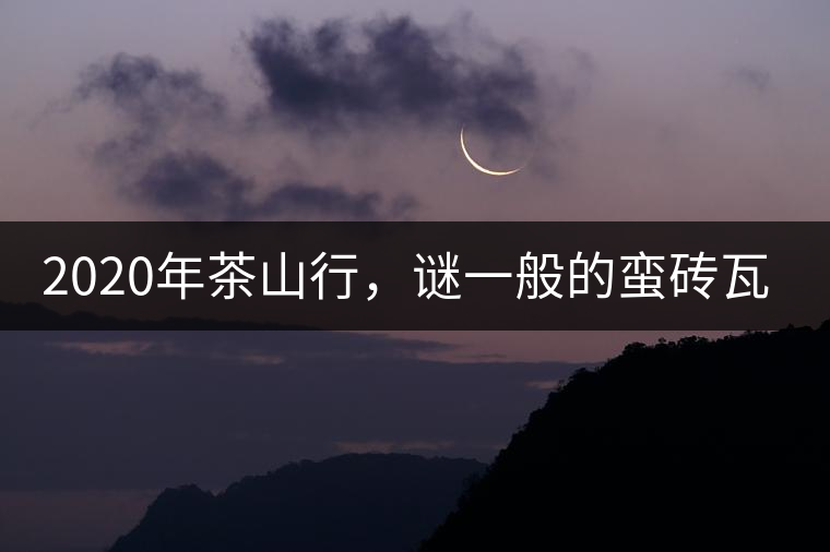 2020年茶山行，謎一般的蠻磚瓦竜古茶山