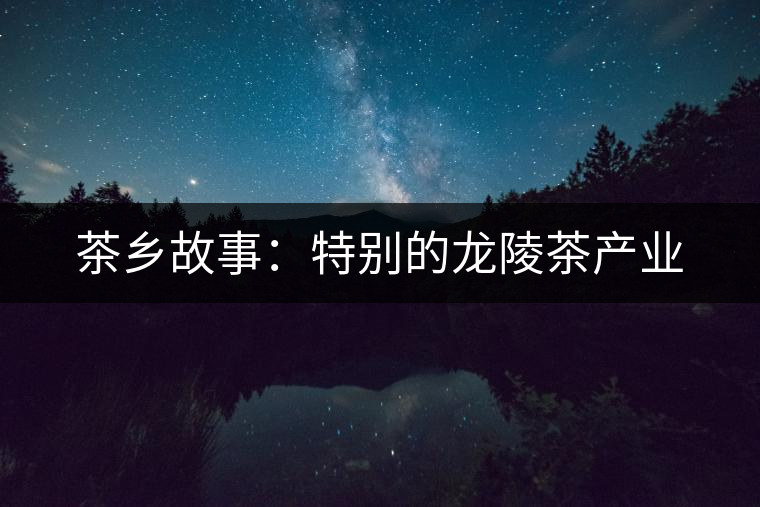 茶鄉(xiāng)故事：特別的龍陵茶產(chǎn)業(yè)