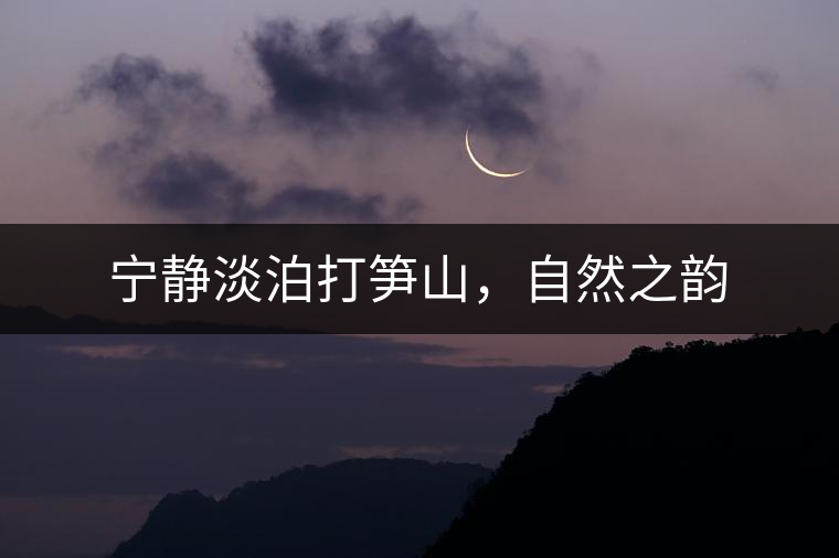 寧?kù)o淡泊打筍山，自然之韻