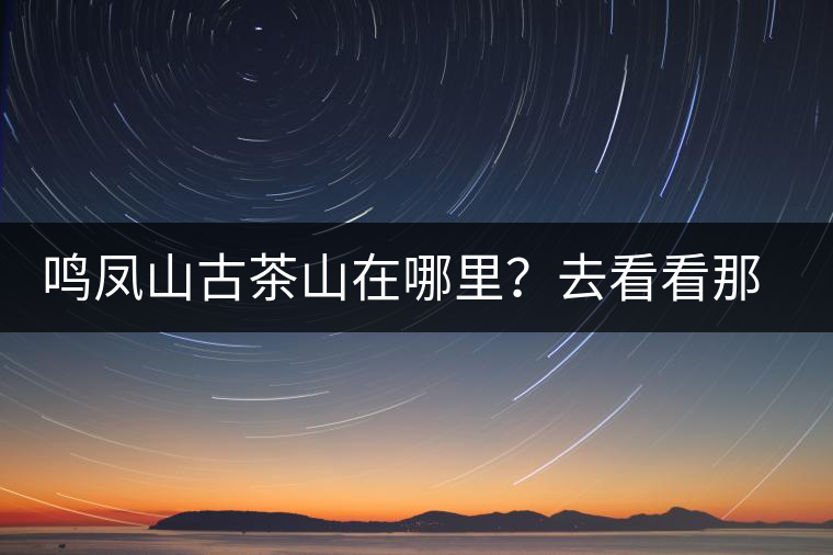 鳴鳳山古茶山在哪里？去看看那鳳凰曾經(jīng)落腳的地方
