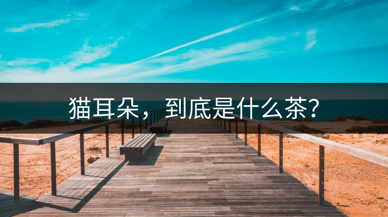 貓耳朵，到底是什么茶？