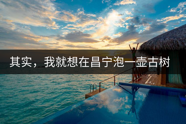 其實，我就想在昌寧泡一壺古樹茶