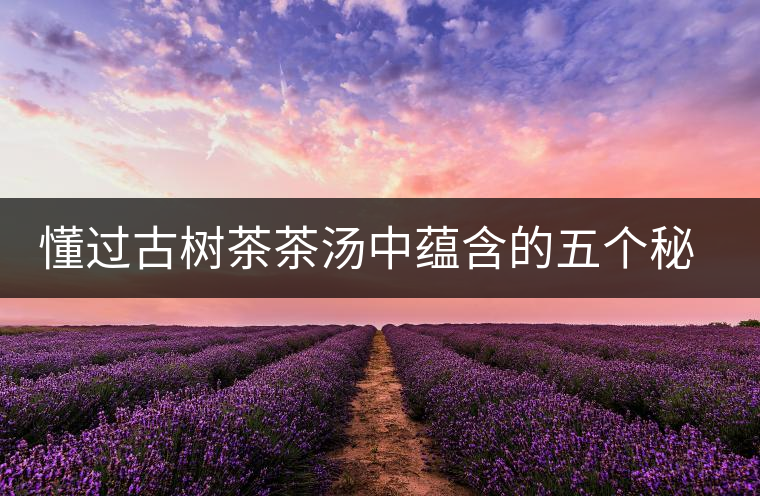 懂過古樹茶茶湯中蘊(yùn)含的五個秘密 懂過古樹茶茶湯中蘊(yùn)含的五個秘密