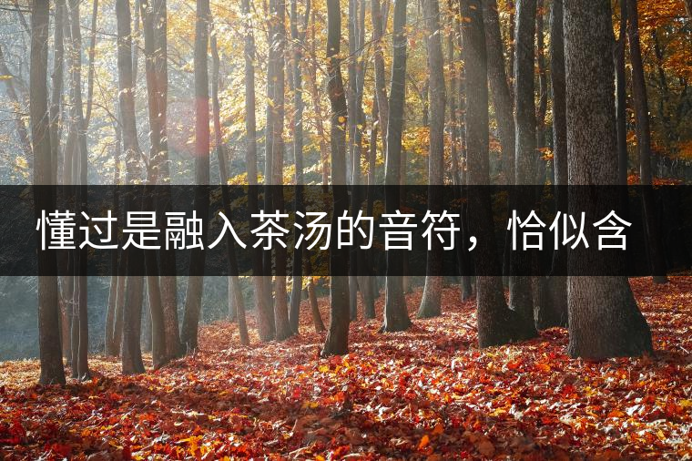 懂過是融入茶湯的音符，恰似含淚吟唱的《領(lǐng)悟》