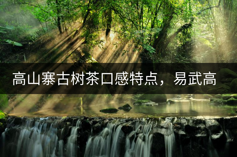 高山寨古樹(shù)茶口感特點(diǎn)，易武高山寨普洱茶介紹