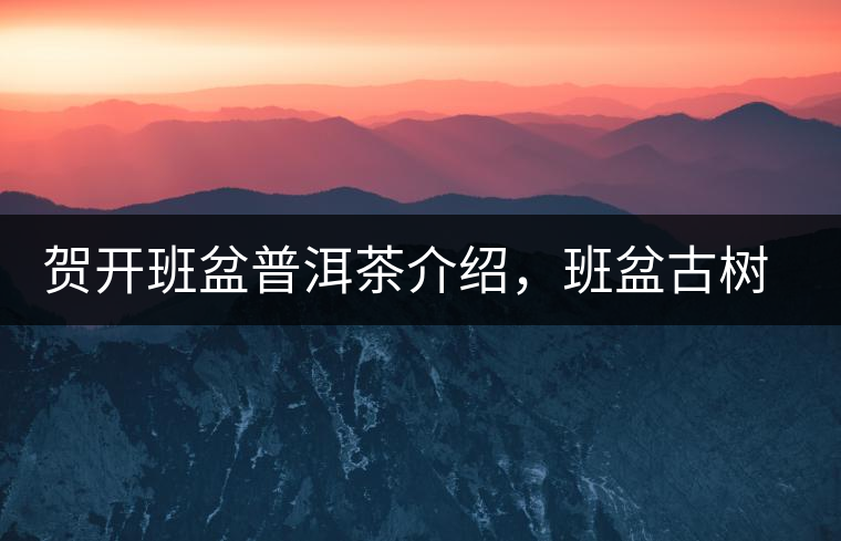 賀開班盆普洱茶介紹，班盆古樹茶口感特點