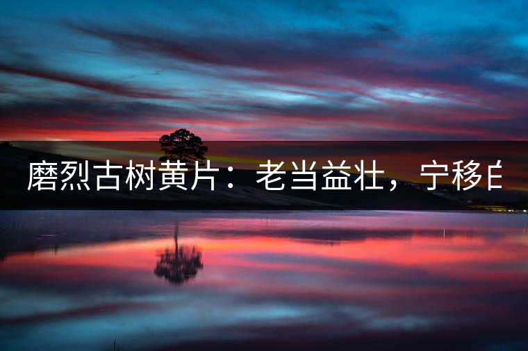 磨烈古樹黃片：老當益壯，寧移白首之心！