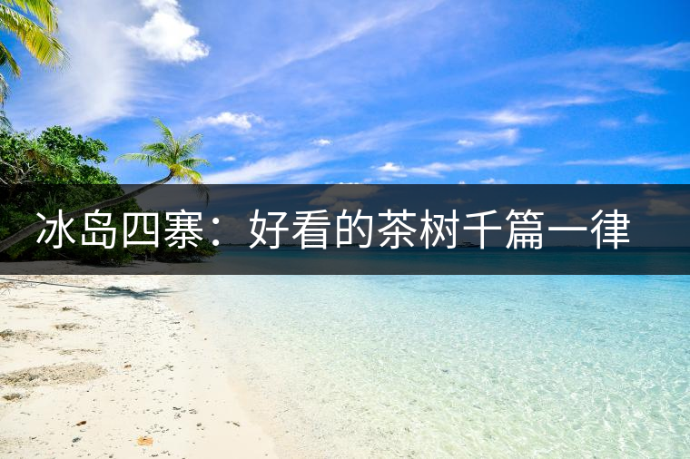 冰島四寨：好看的茶樹千篇一律，有趣的風景萬里