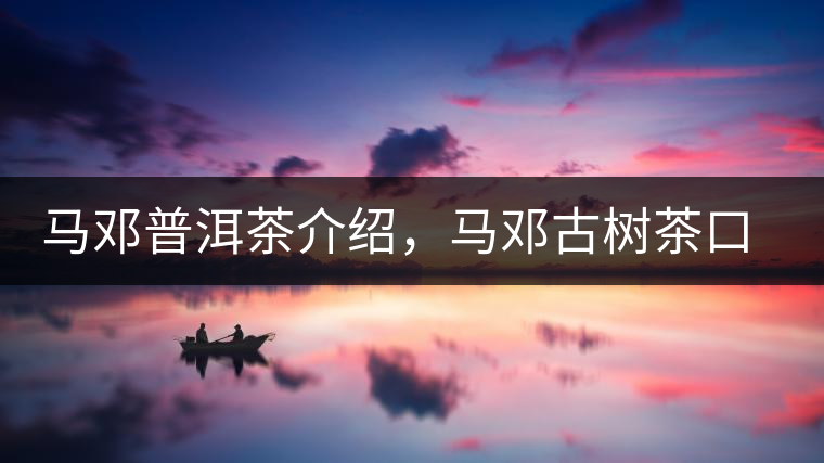 馬鄧普洱茶介紹，馬鄧古樹茶口感特點