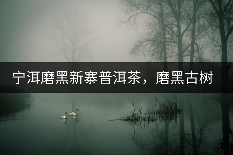 寧洱磨黑新寨普洱茶，磨黑古樹(shù)茶口感特點(diǎn)