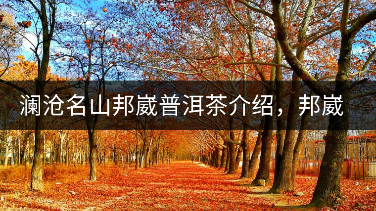 瀾滄名山邦崴普洱茶介紹，邦崴古樹茶口感特點(diǎn)