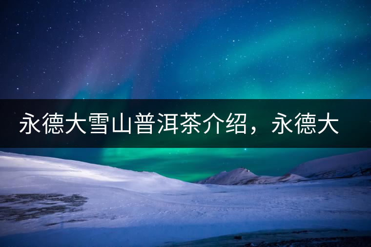 永德大雪山普洱茶介紹，永德大雪山古樹(shù)茶口感特點(diǎn)