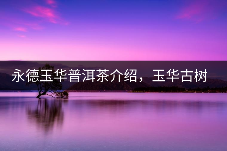 永德玉華普洱茶介紹，玉華古樹茶口感特點