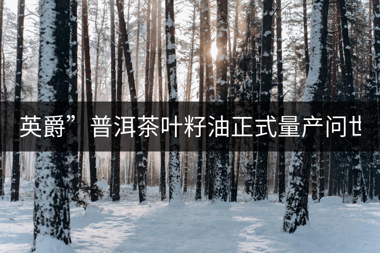 英爵”普洱茶葉籽油正式量產(chǎn)問(wèn)世。