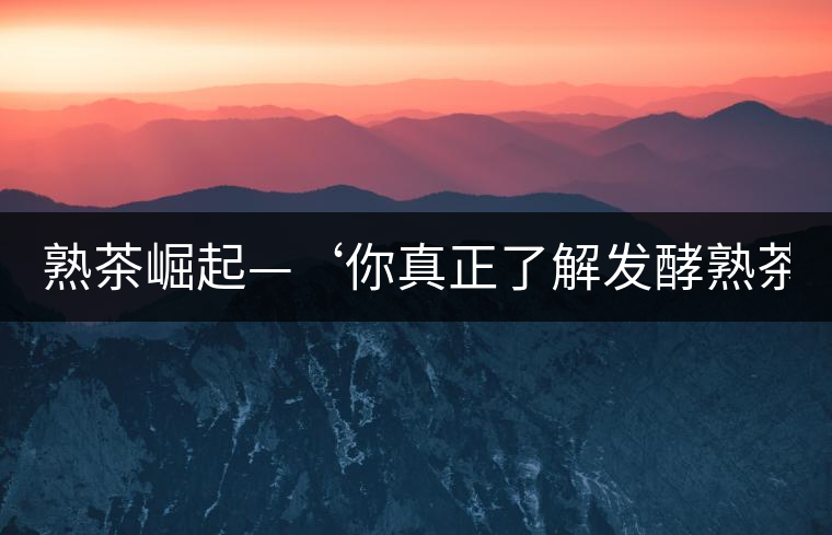 熟茶崛起—‘你真正了解發(fā)酵熟茶？’