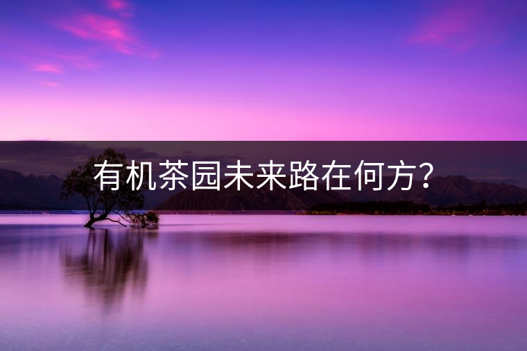 有機茶園未來路在何方？