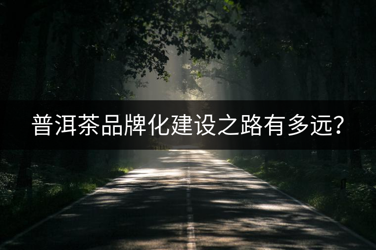 普洱茶品牌化建設(shè)之路有多遠(yuǎn)？
